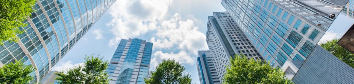 1日のスケジュール